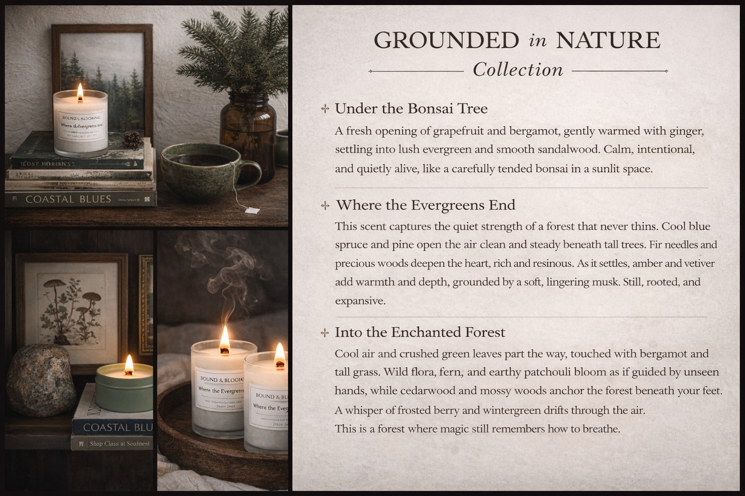 Scent Discovery Candle